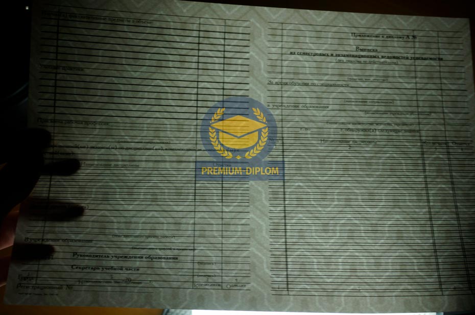 Специалист, Бакалавр, Магистр с 2011 года (Беларусь) - фото