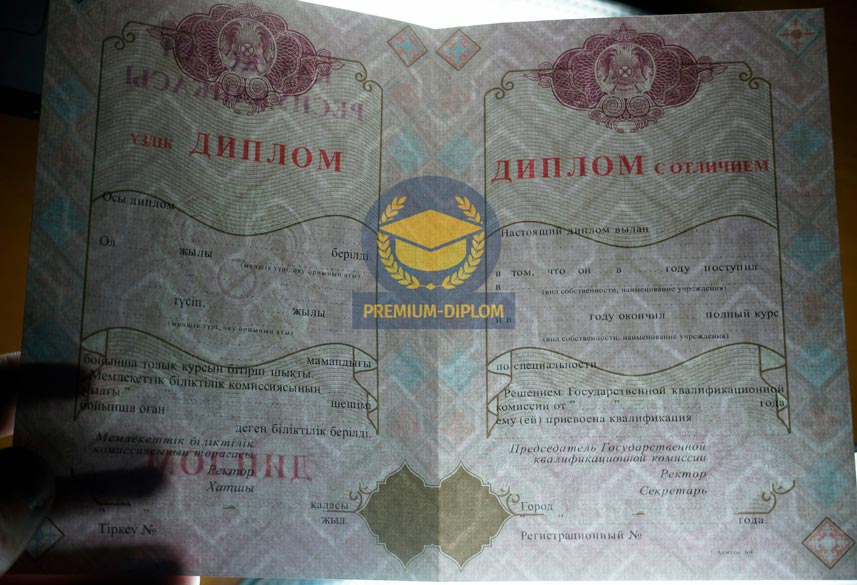 Специалист 2009-2025 с отличием (Казахстан) - фото
