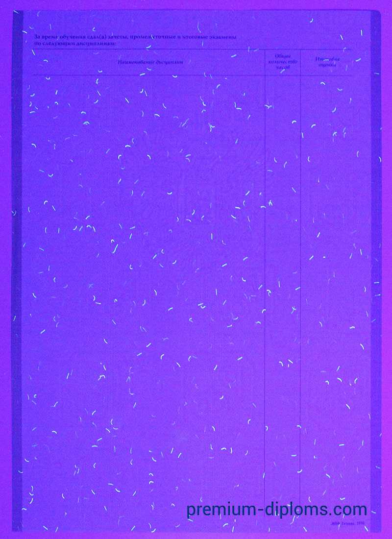 Академическая справка фото