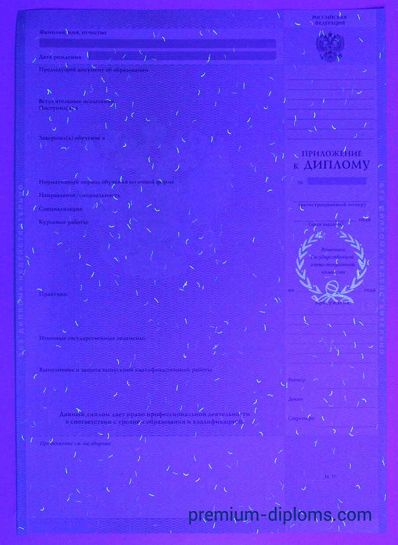 Диплом специалиста 2009-2011 год фото